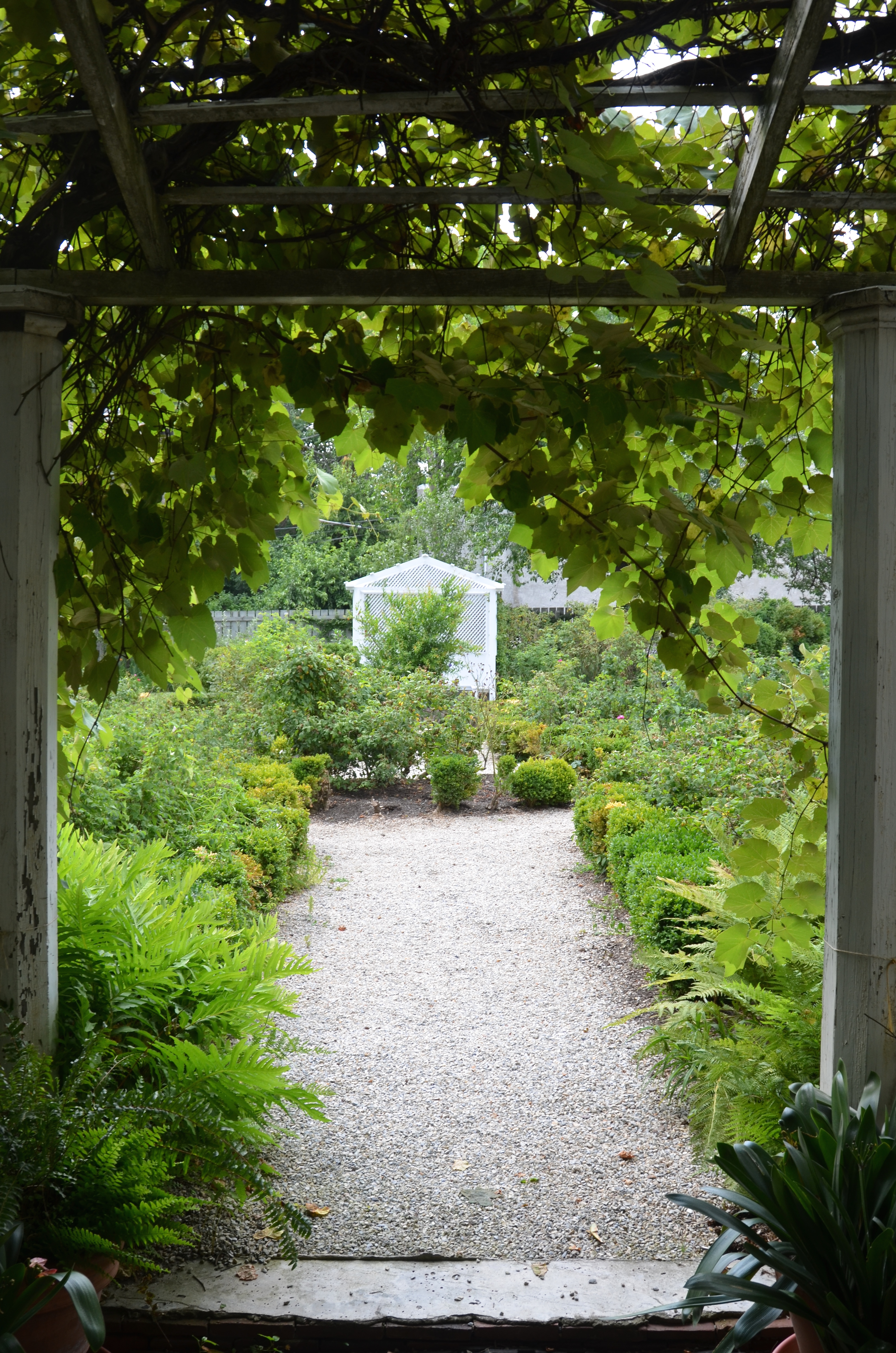 The view from "The Garden Door" at Wyck. Looking towards the box edged rose garden and to the simple white arbor containing a shady sitting place.