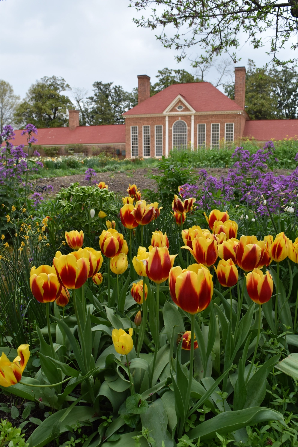 Mount Vernon, Virginia – Spring Blooms in the Upper Flower Garden ...